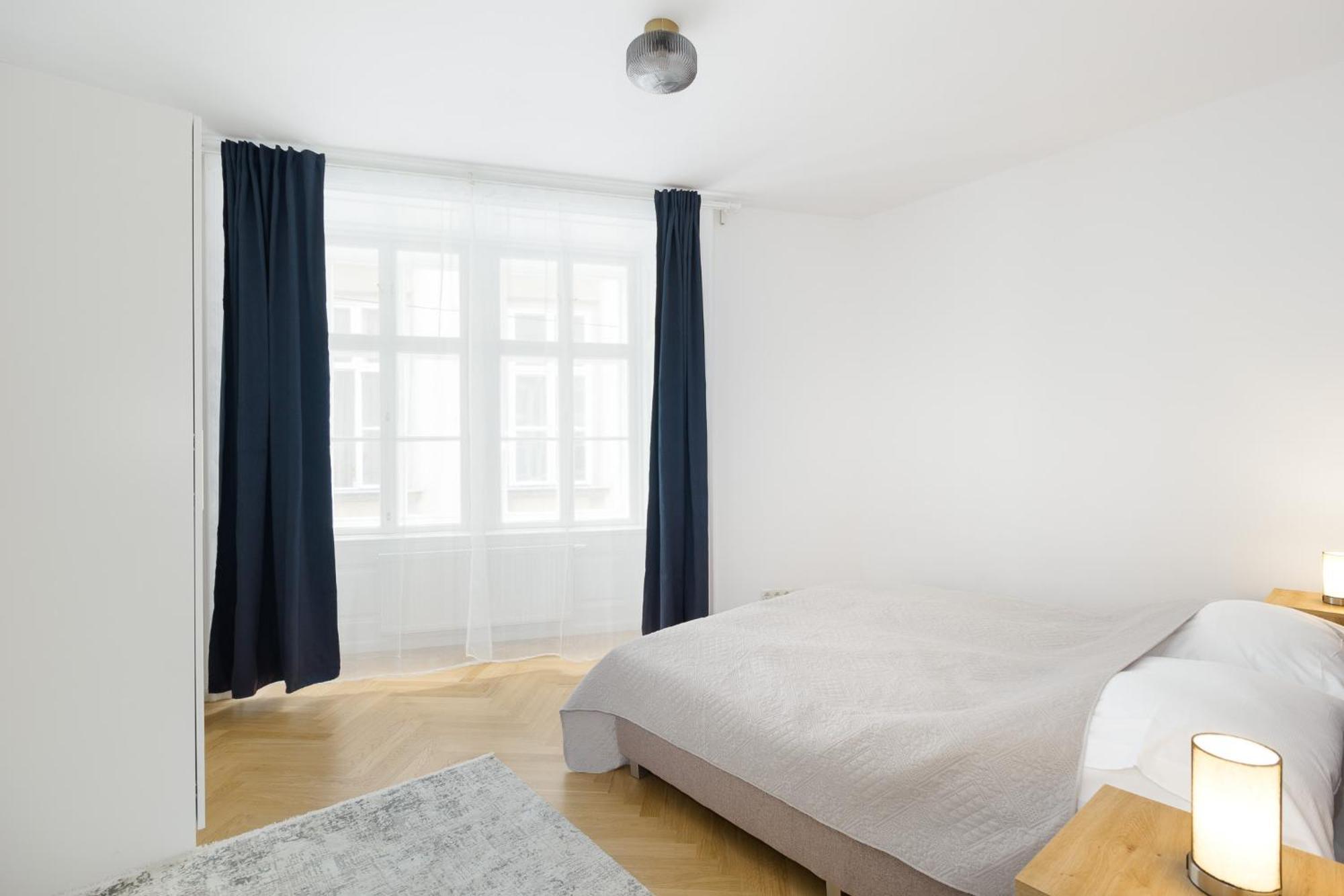 Apartment Ballgasse Luxury Wien